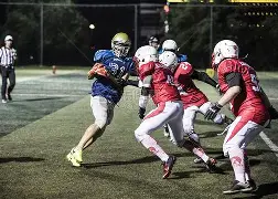 橄榄球赔率刷新纪录，竞猜热度飙升