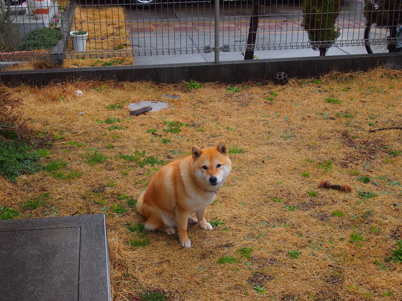 西甲国家德比之夜,战靴与权杖,他为伯纳乌立下唯一尺度