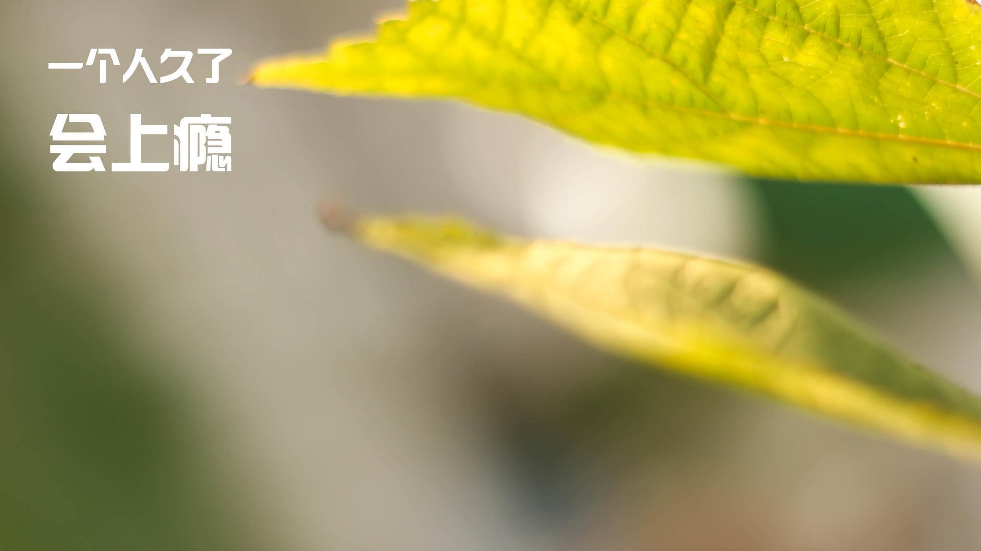 希腊战神降临,奥运周期关键战之夜,字母哥如火山爆发般带动全队节奏