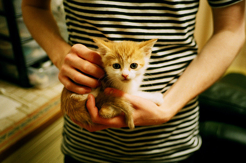 当爱德华兹撕裂防线，深圳队跨时空掘金