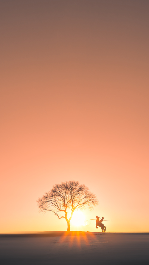 唯一性，当上海队遭遇灰熊，塔图姆以攻防两端的绝对统治定义跨界传奇