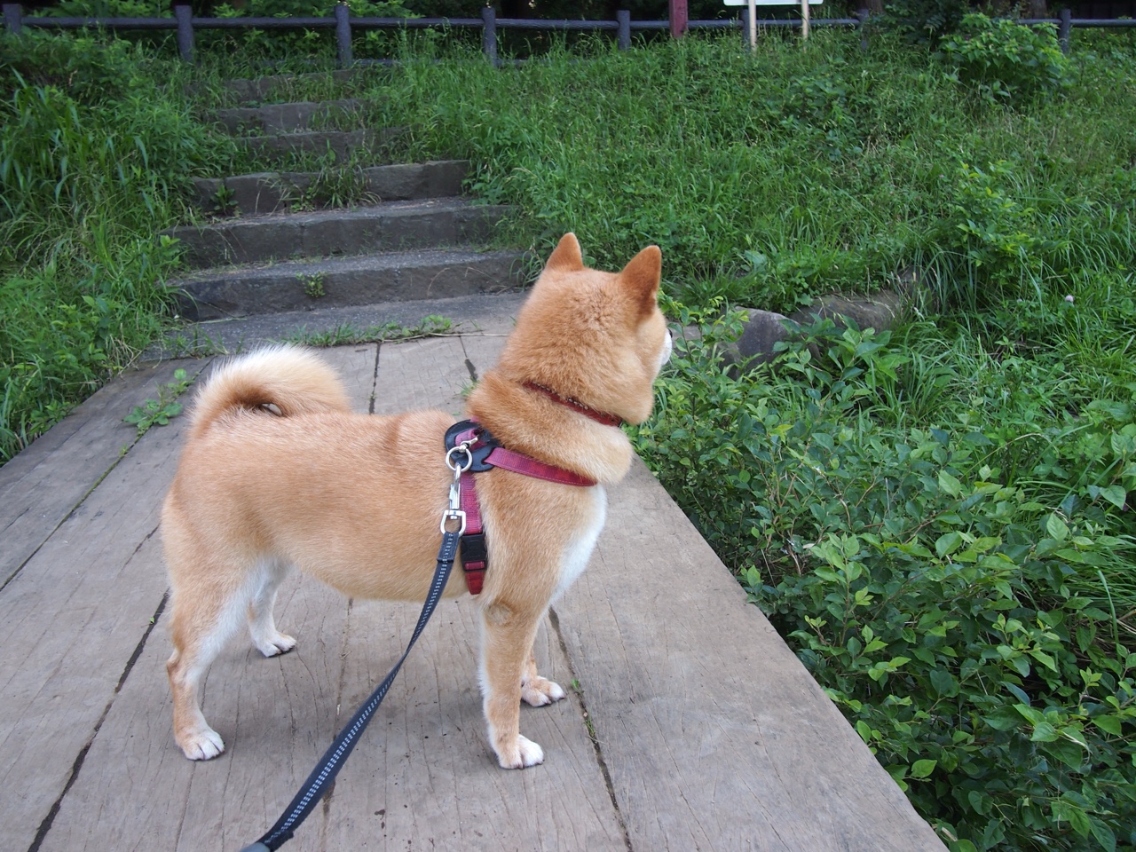 压境烽火，孤城难支，武神临凡之夜