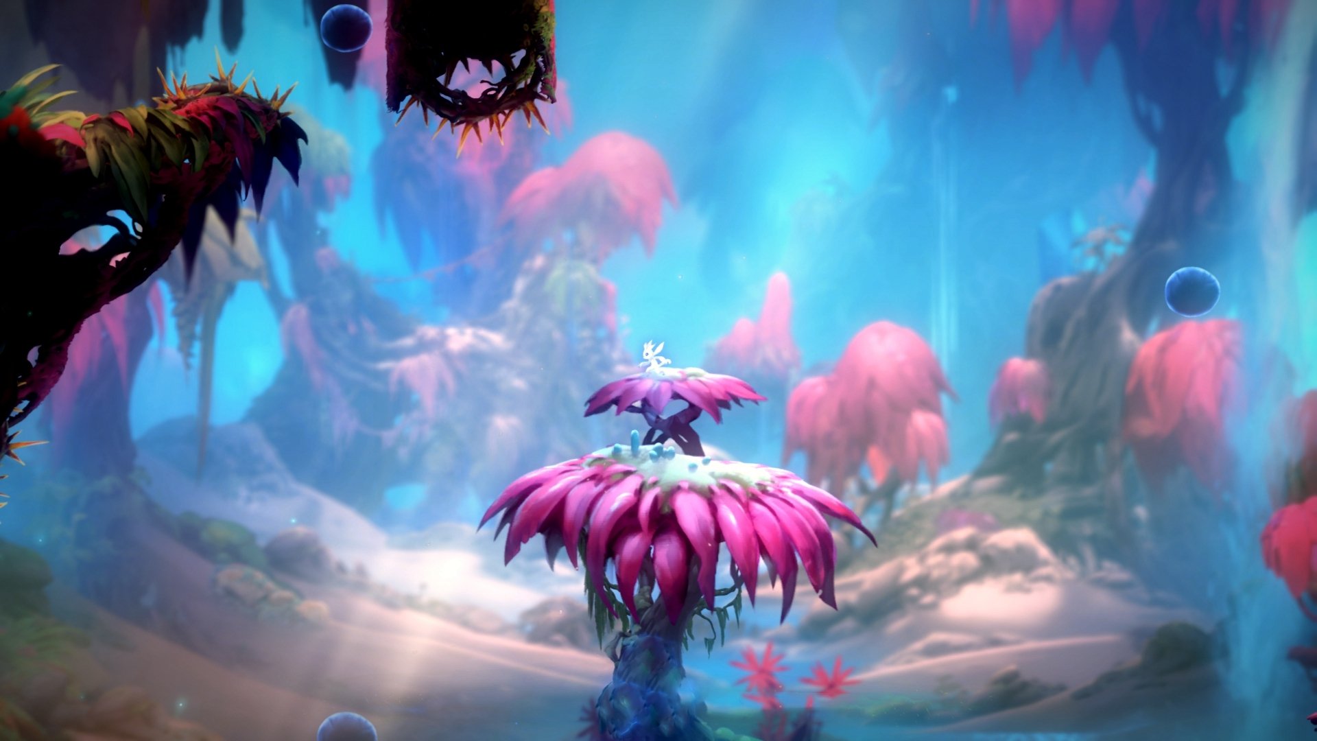 少年之肩,扛起星辰,加维在奥运关键战的破晓之战