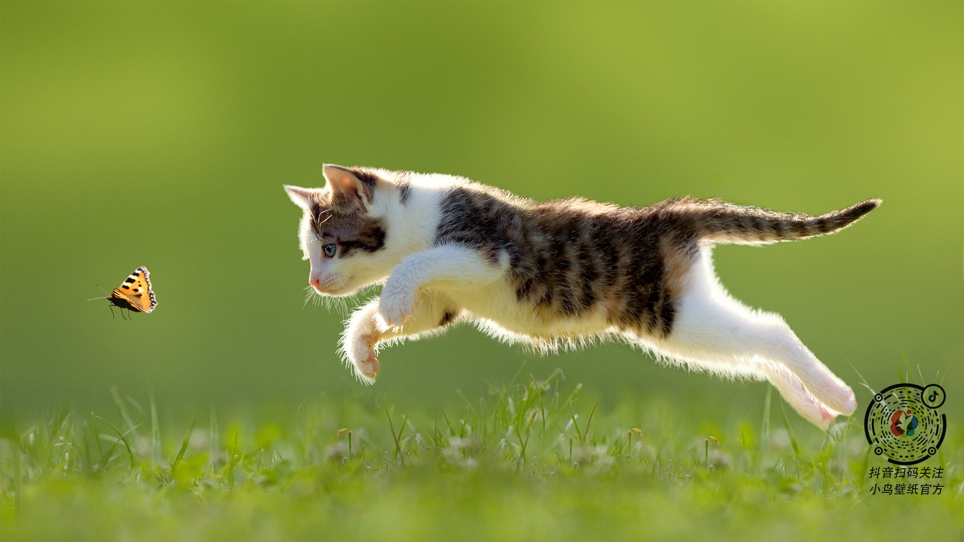 隐形的巨人，奥亚尔萨瓦尔如何用一粒进球，让姆巴佩的光芒成为映衬他的星光