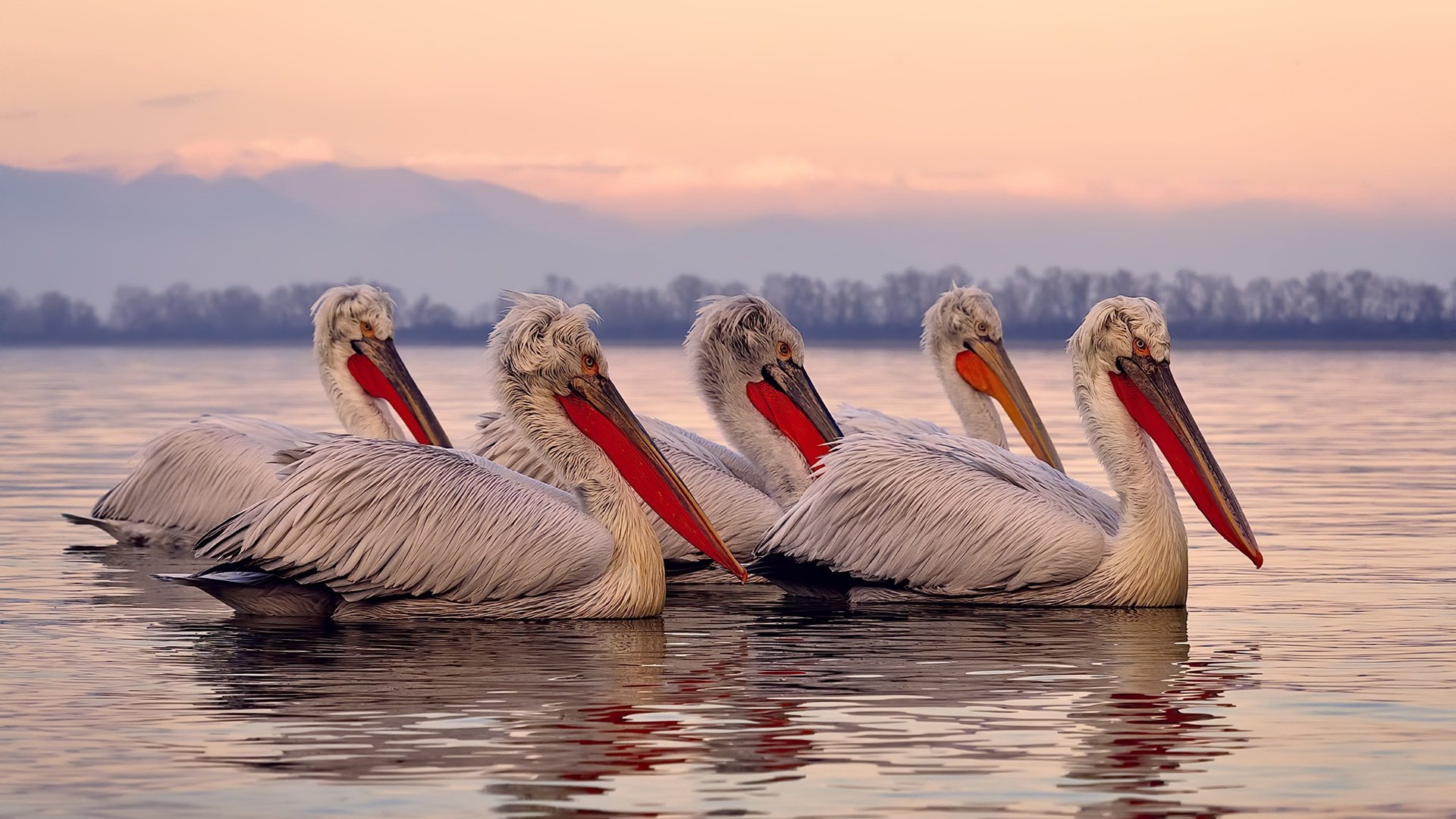 战术纪律与天才闪光，克罗地亚的精密机器与阿尔瓦雷斯的大场面基因