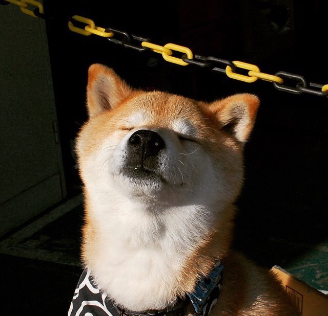 天鹅绒帷幕落下时，当魔术提前终结悬念，杜兰特以角斗士姿态惊艳四座