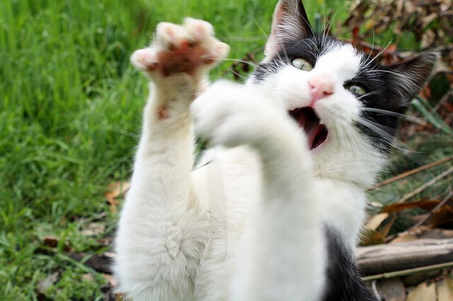 欧冠决赛惊世一战，瑞士国家队代班上演，一波流带走莱比锡红牛神话