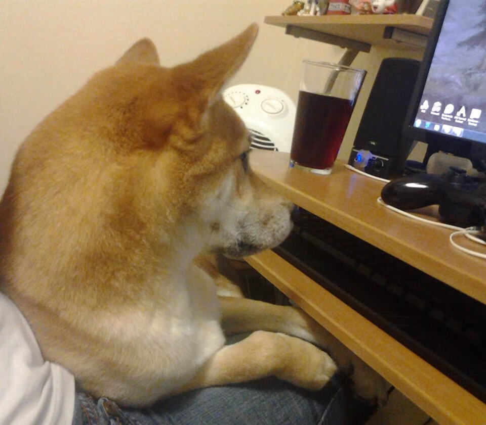 陨落凤凰的重生，杜兰特空降亚特兰大率队闯入总决赛