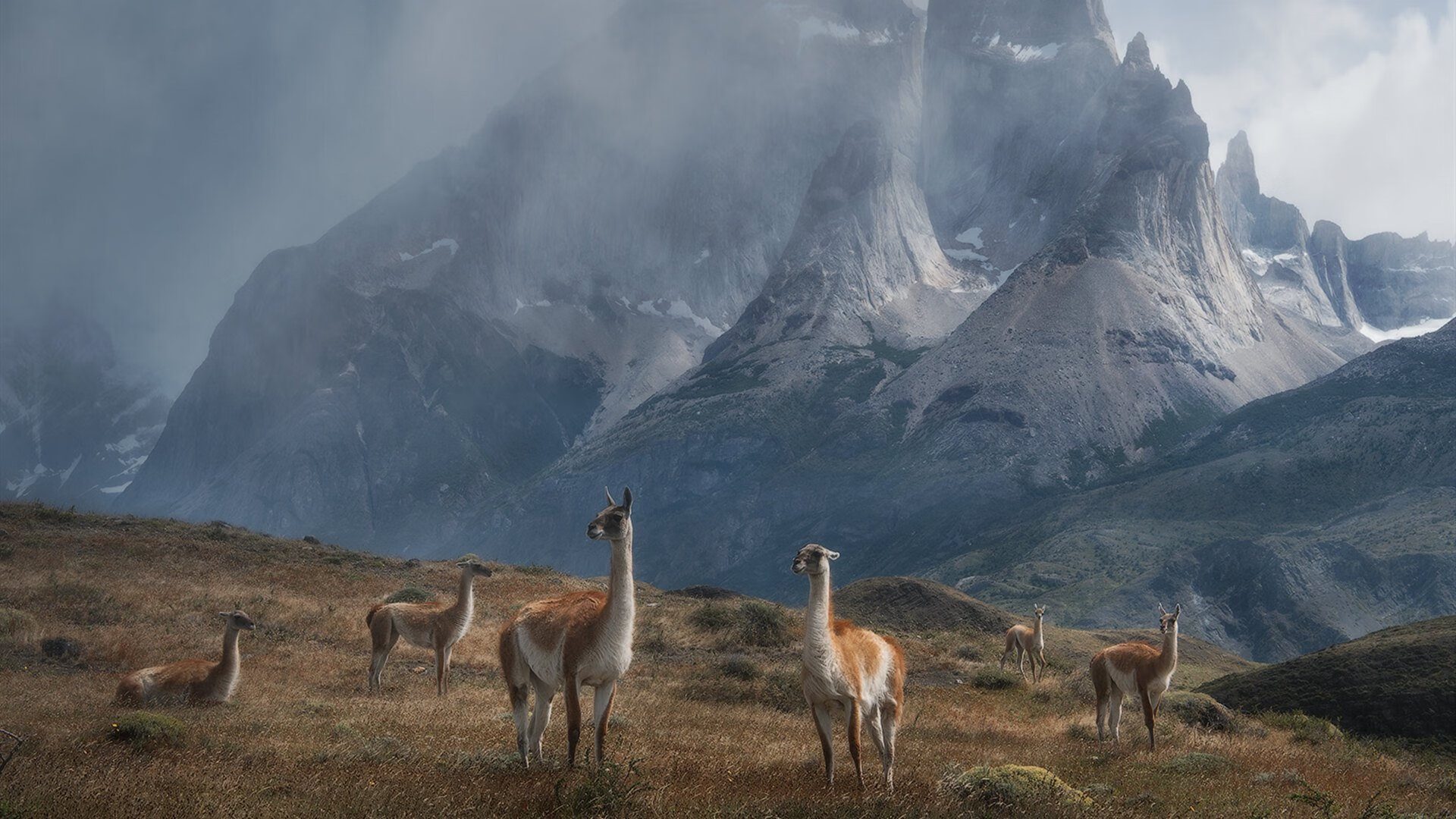 掌心的天空，篮网封锁老鹰，文班亚马如何成为关键先生