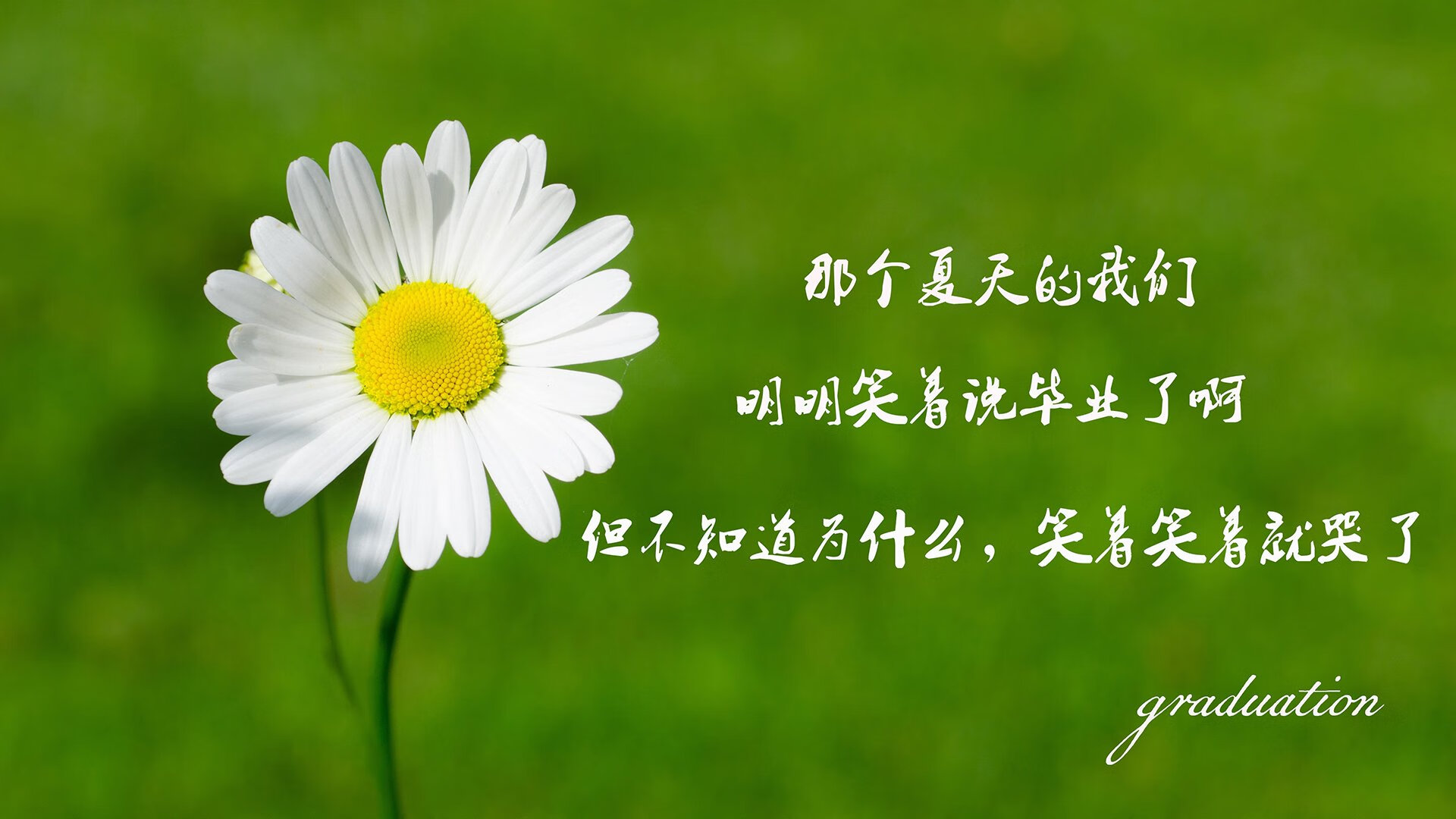 苍穹之下,守护的艺术,欧冠淘汰赛之夜库尔图瓦的压制级交响
