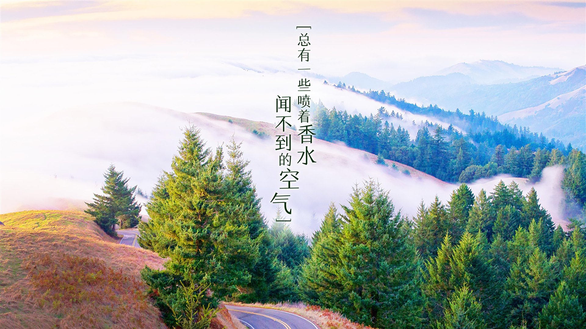 唯一北欧德比,布罗佐维奇快字当头,瑞典两击致命挪威